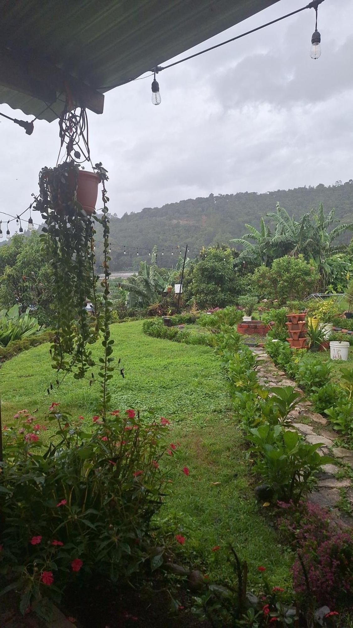 Hostal Vista Boquete Bajo Boquete Zewnętrze zdjęcie