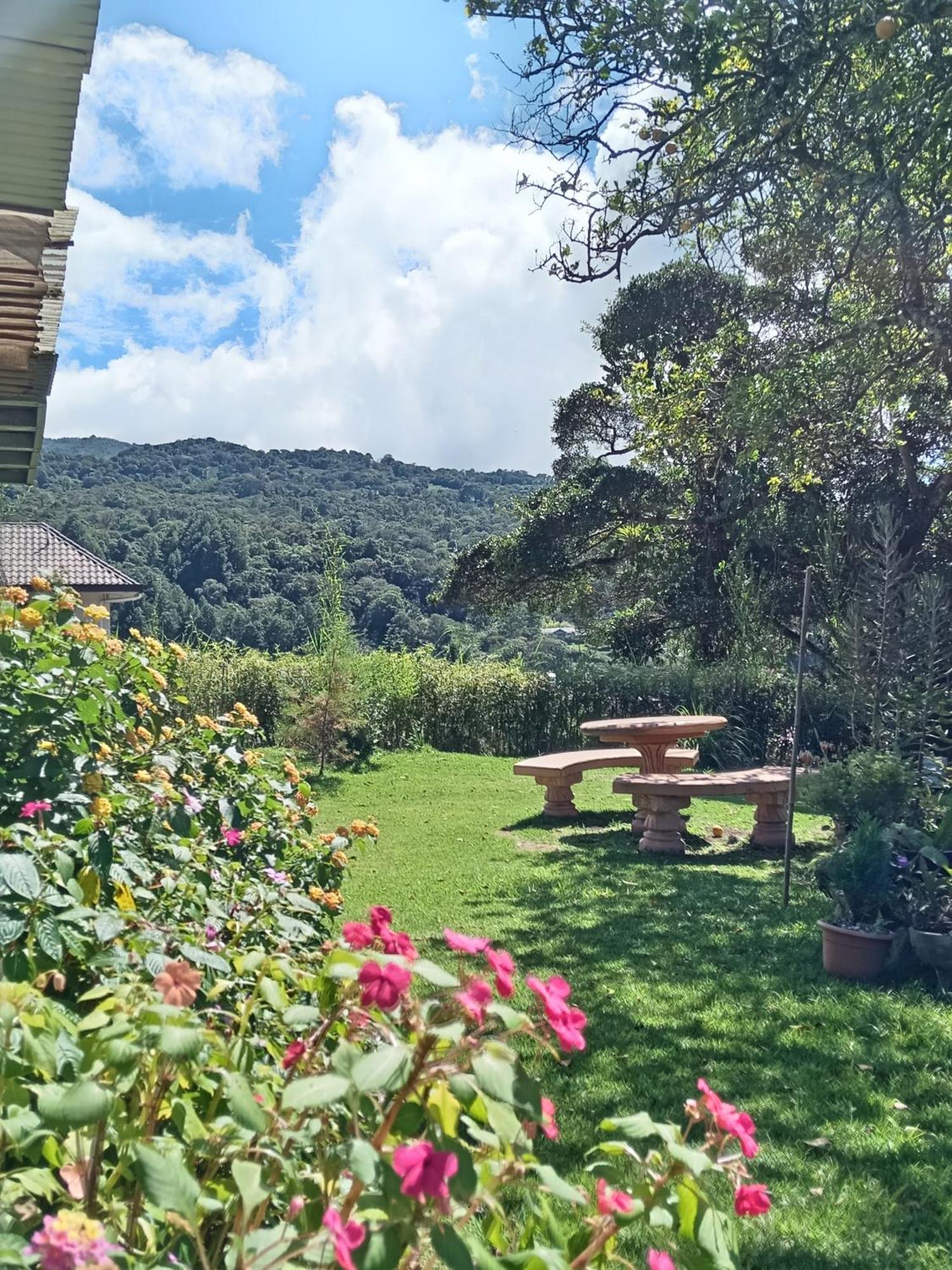 Hostal Vista Boquete Bajo Boquete Zewnętrze zdjęcie