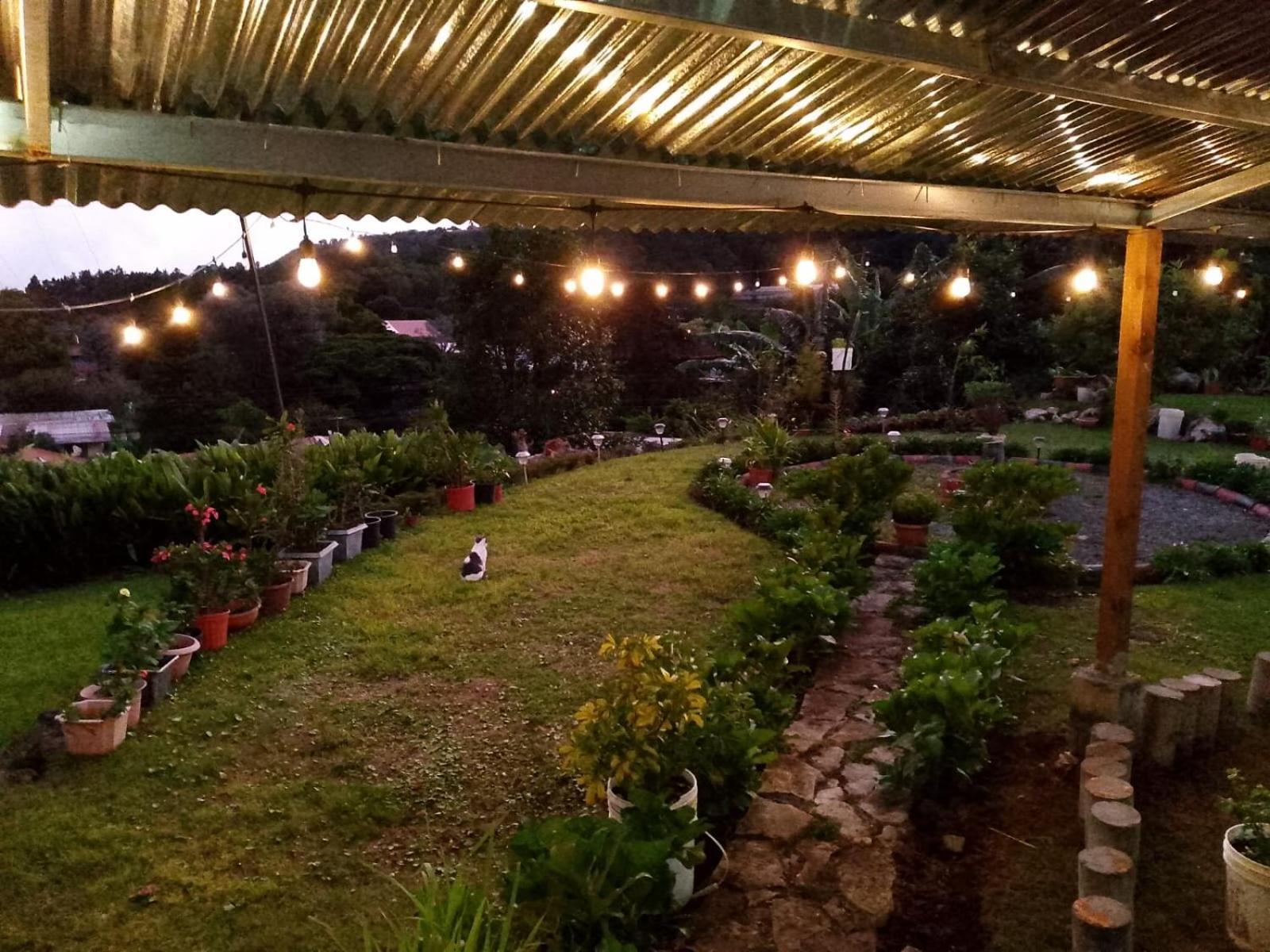 Hostal Vista Boquete Bajo Boquete Zewnętrze zdjęcie