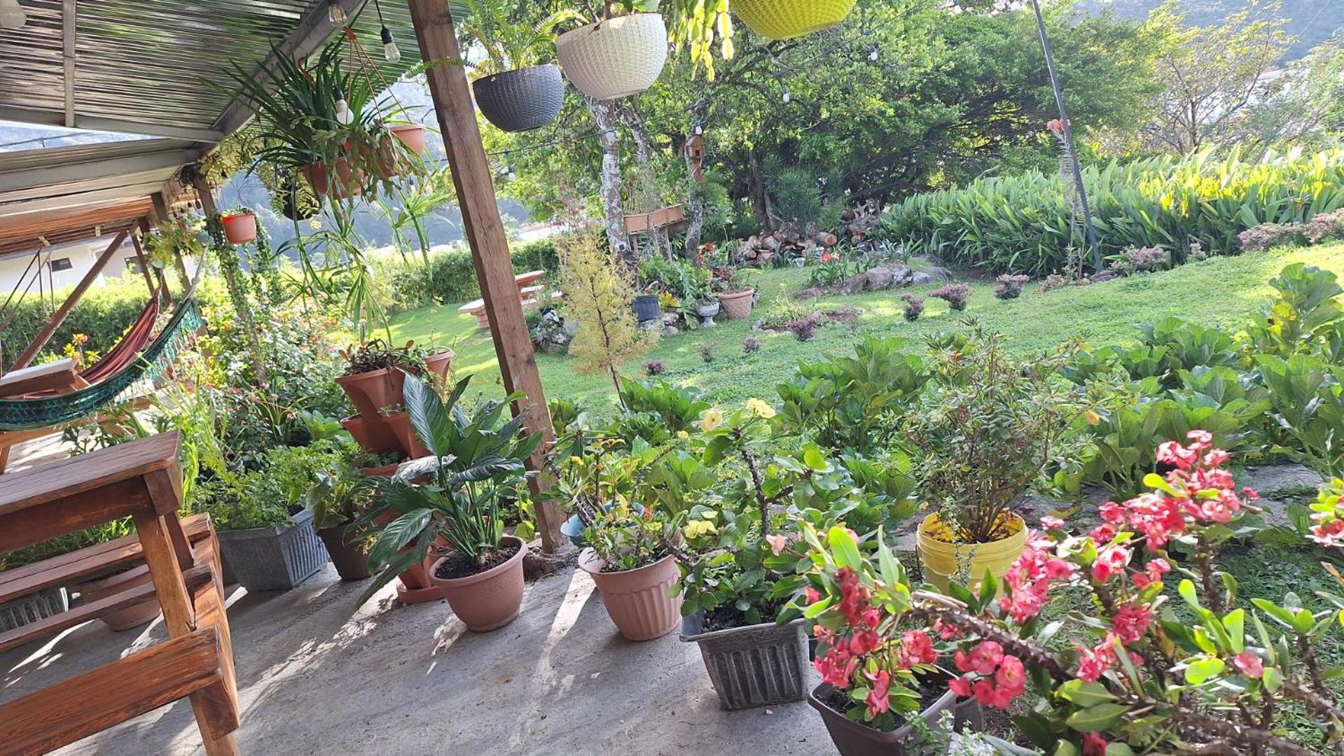 Hostal Vista Boquete Bajo Boquete Zewnętrze zdjęcie