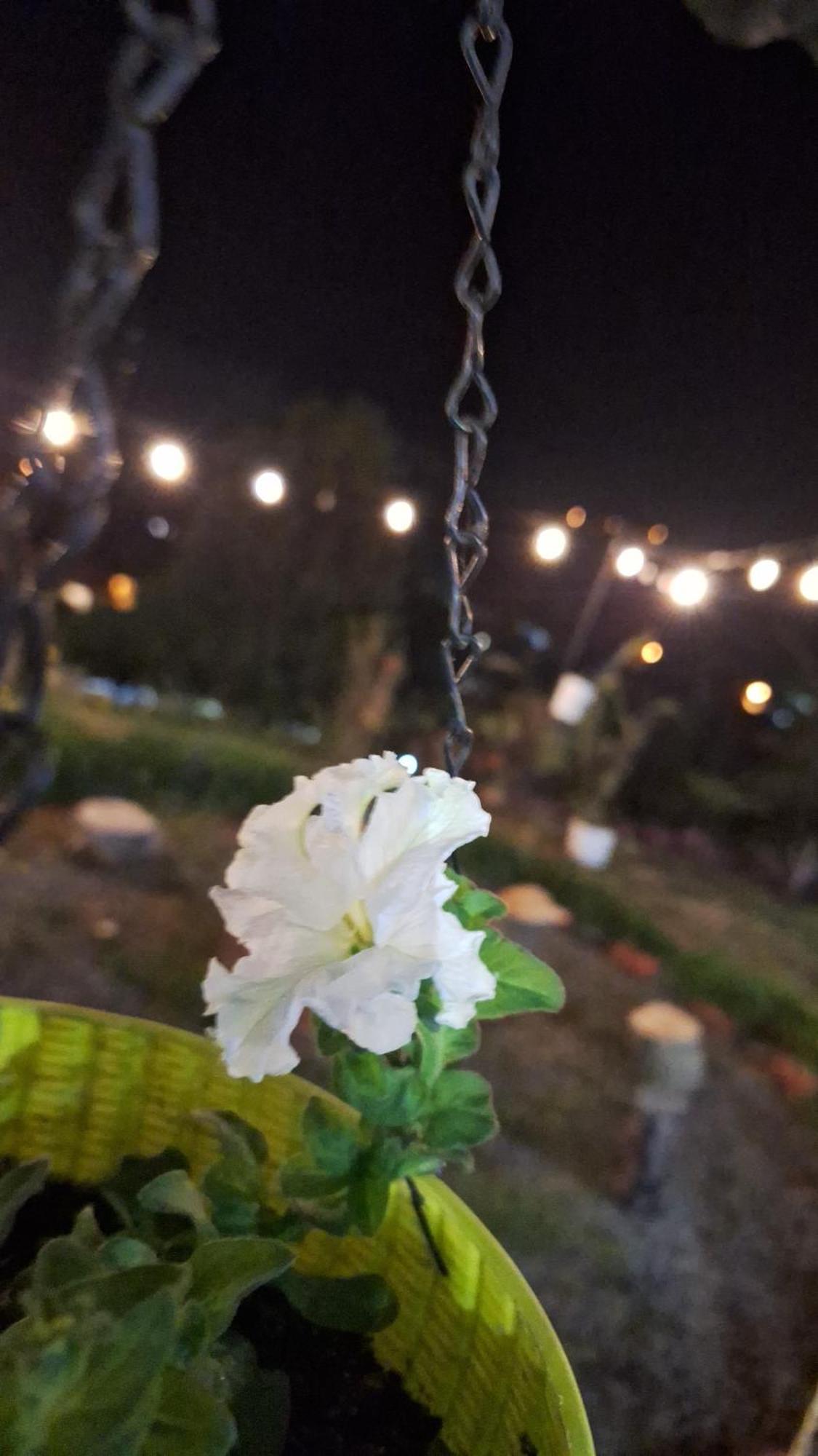 Hostal Vista Boquete Bajo Boquete Zewnętrze zdjęcie