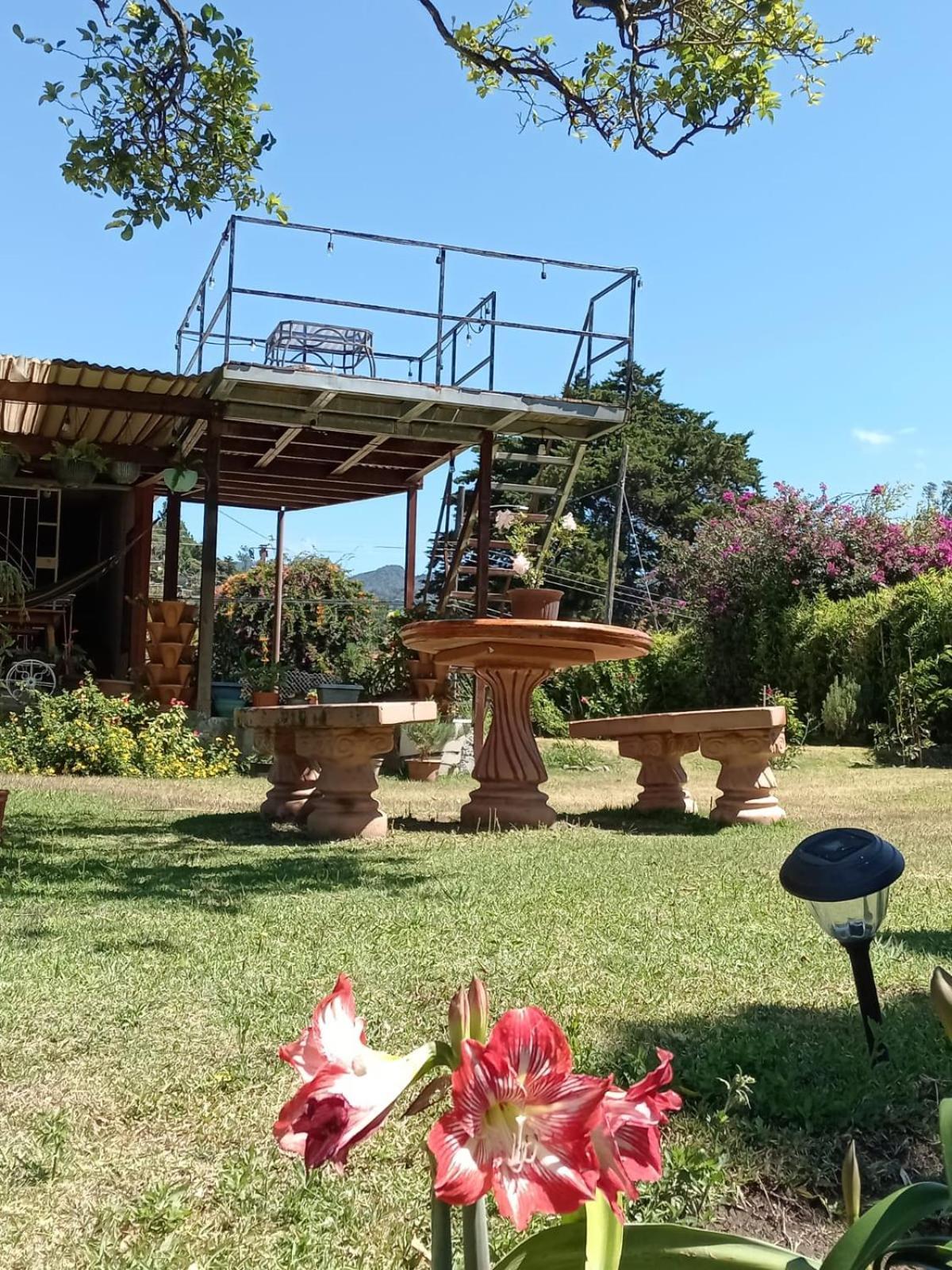 Hostal Vista Boquete Bajo Boquete Zewnętrze zdjęcie