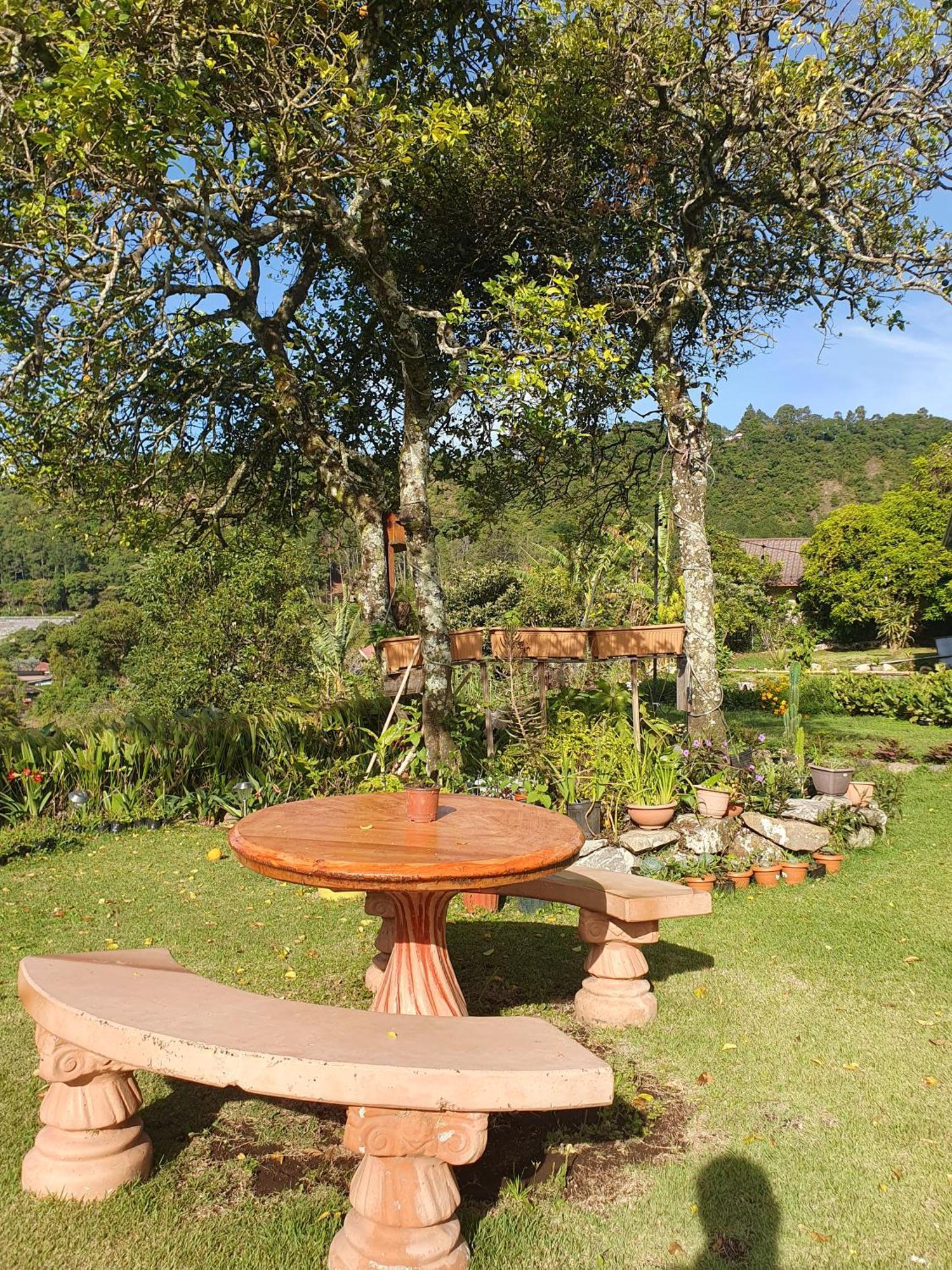 Hostal Vista Boquete Bajo Boquete Zewnętrze zdjęcie